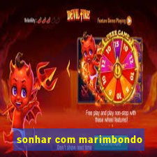 sonhar com marimbondo